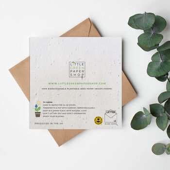 Hey Bud! How's It Growing? Plantable Seed Paper Card, 2 of 2