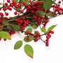 60cm Artificial Christmas Natural Red Berry Wreath, thumbnail 3 of 8