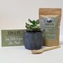 Plant Your Own Succulent Kit With Blue Leaf Pot, thumbnail 2 of 5