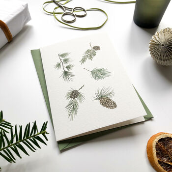 Winter Foliage Hand Illustrated Christmas Card/Set, 3 of 4