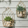 Set Of Two Arched Botanical Wall Planters, thumbnail 3 of 6