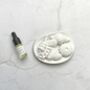 Sea Shell Aroma Stone Plaster Diffuser, thumbnail 4 of 5