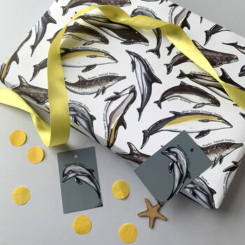 Dolphin Species Wrapping Paper Set, 8 of 10