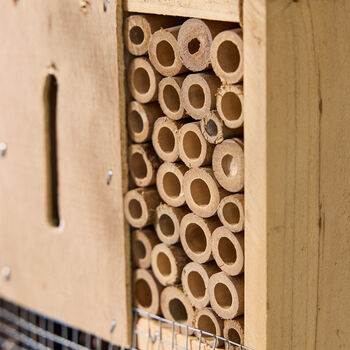 Wooden Garden Insect House, 6 of 10