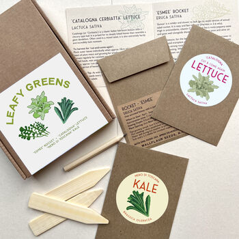 Leafy Greens Grow Your Own Gardening Seed Kit, 3 of 3