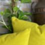 Sunshine Yellow Velvet Cushion, thumbnail 4 of 12