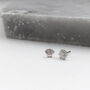 Sterling Silver Clam Shell Stud Earrings, thumbnail 2 of 5