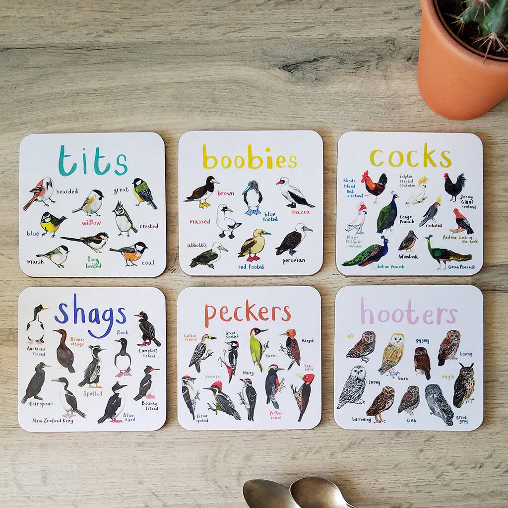 Six Bird Pun Coasters, 1 of 10