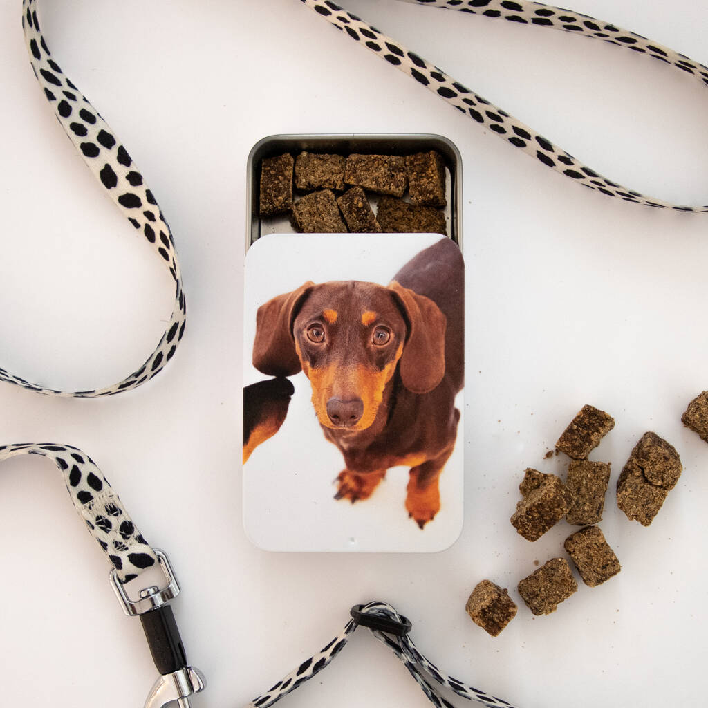 Personalised Photo Dog Pet Treat Tin, 1 of 10