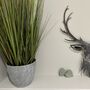 Stag Head Large Antler Metal Wall Plaque, thumbnail 5 of 7