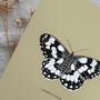 Vintage Feel Butterfly Art Print, thumbnail 3 of 10