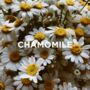 Reed Diffuser Neroli + Chamomile, thumbnail 6 of 6