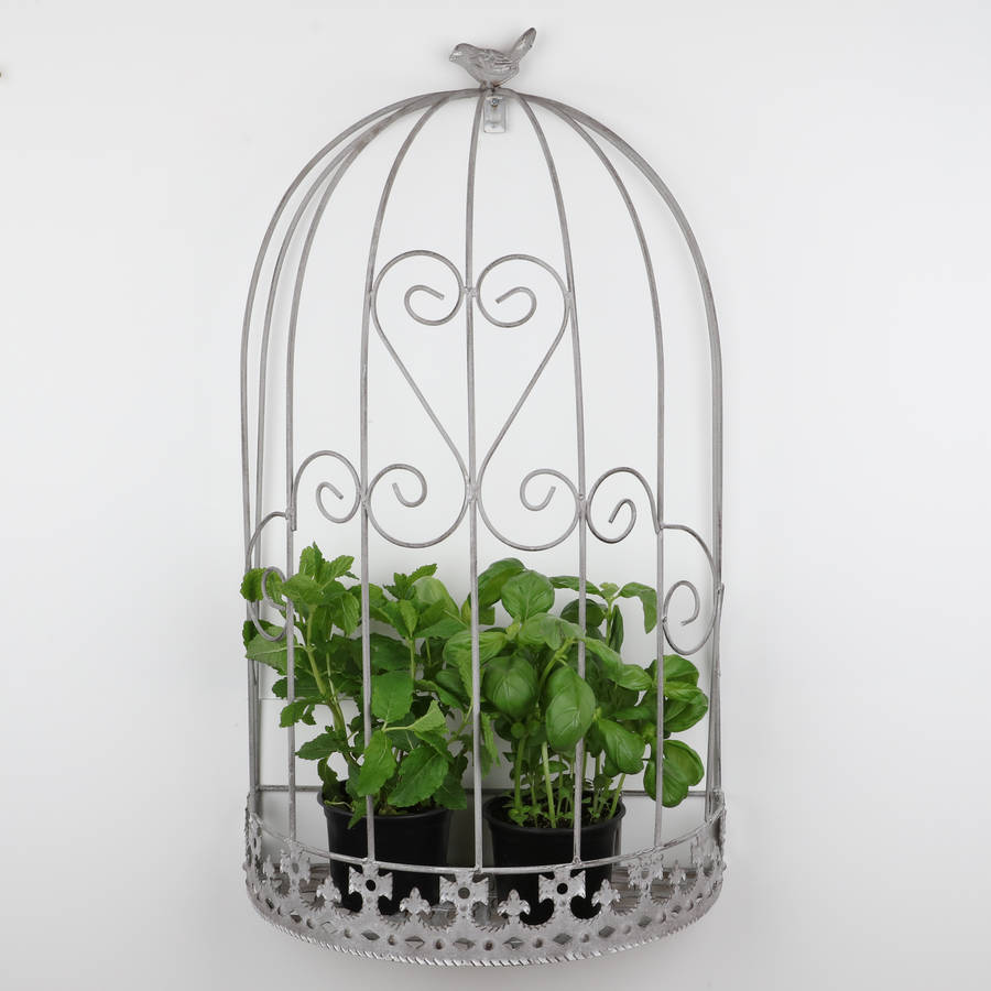 Set Of Two Wall Mounted Bird Cage Plant Holders By Dibor