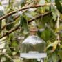 Hanging Glass Wasp Catcher, thumbnail 1 of 2