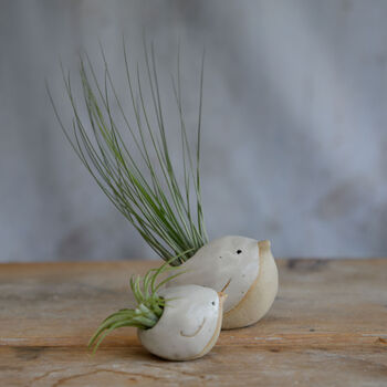 Bird Air Plant Holder In Off White, 2 of 12