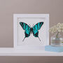 Personalised Papercut 3D Butterfly Framed Print Gift, thumbnail 2 of 9