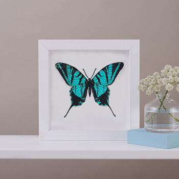 Personalised Papercut 3D Butterfly Framed Print Gift, 2 of 9