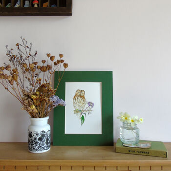 Tawny Owl And Ivy Berries Giclee Fine Art Print, 9 of 9