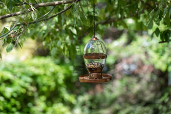 Hazel Antique Bird Feeder, 4 of 6