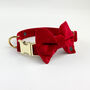 Luxury Velvet Dog Collar, thumbnail 6 of 12
