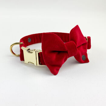 Luxury Velvet Dog Collar, 6 of 12