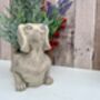 Grey Dachshund Planter Sausage Dog Flower Pot Home Decor, thumbnail 6 of 11