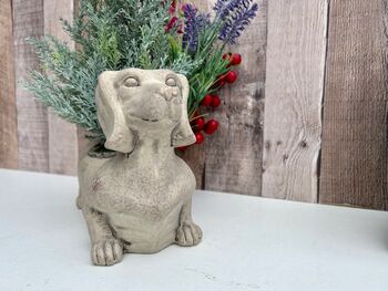 Grey Dachshund Planter Sausage Dog Flower Pot Home Decor, 6 of 11