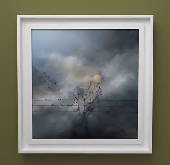 Nocturn, From The Bird On A Wire Series, 2 of 2