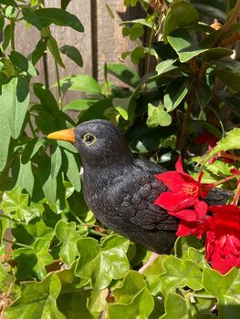 Lifelike Blackbird Garden Sculpture Gift Ornament Frost Proof, 9 of 9