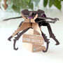 Build Your Own Personalised Stag Beetle, thumbnail 2 of 9