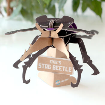 Build Your Own Personalised Stag Beetle, 2 of 9