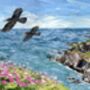 Cornish Choughs At Lizard Point Greeting Card, thumbnail 5 of 7
