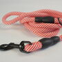 Red And White Stripped Rope Dog Lead, thumbnail 12 of 12