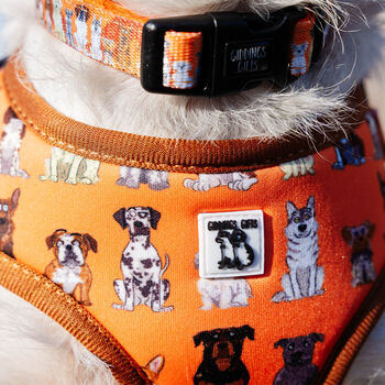 Orange Cartoon Adjustable Dog Harness, 6 of 12