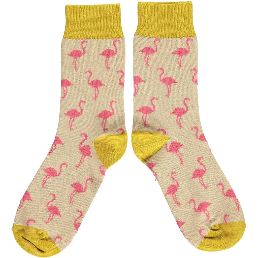 women's soft cotton ankle socks by catherine tough