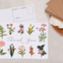 Wild Flowers Thank You A6 Postcard Pack, thumbnail 3 of 3