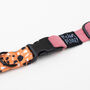 Pink Orange Terrazzo • Padded Dog Collar, thumbnail 5 of 7