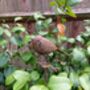 Metal Robin Redbreast Garden Stake – Bird Ornament, thumbnail 4 of 8