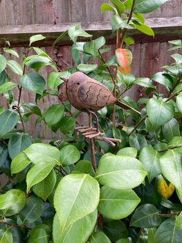 Metal Robin Redbreast Garden Stake – Bird Ornament, 4 of 8