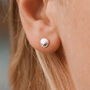 Small Scallop Shell Studs Friends Of The Sea, thumbnail 1 of 3