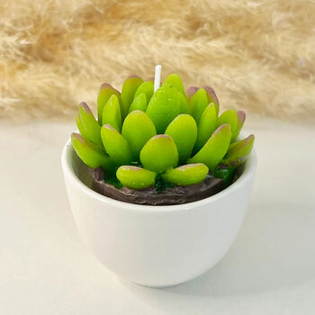 Succulent Candles In White Ceramic Pots, 9 of 10