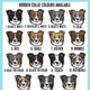 Personalised Border Collie Mug, thumbnail 5 of 5