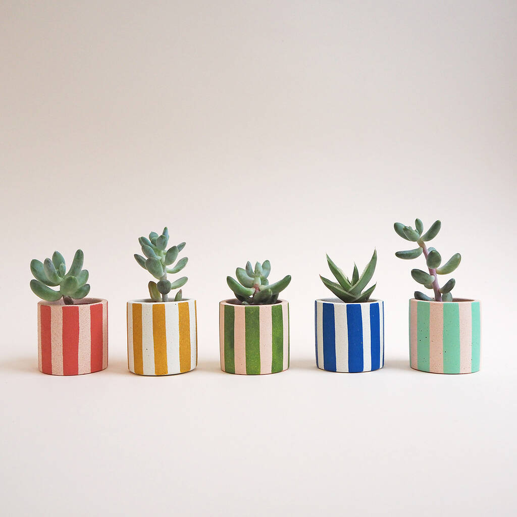 Mini Stripy Pot Choose Your Colours, 1 of 5