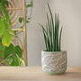 Terracotta 'Leaf' Planters And Vase, thumbnail 2 of 7