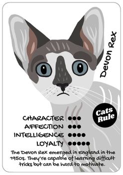 Cats Versus Dogs Card Game For Animal Lovers, 5 of 10