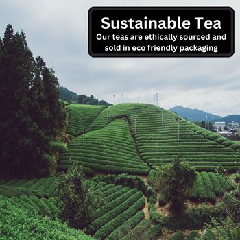 Tea Selection Gift Set Three Premium Specialty Teas, 10 of 10