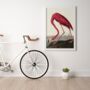 Vintage Flamingo Illustration Art Print, thumbnail 3 of 7