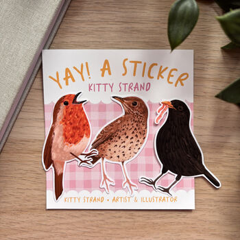 Garden Bird Sticker, Gift Set. Of Three Vinyl Stickers, 4 of 11