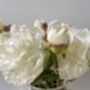 Artificial White Real Feel Peony, thumbnail 8 of 11