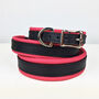 Handcrafted Padded Leather Dog Collar, thumbnail 8 of 9